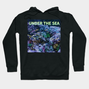 under the sea,blue sea,sea creatures,Turtle, puffer fish, starfish, shrimp, shark, tropical fish, sea horse, seaweed, sardines, squid, crabs, clams Hoodie